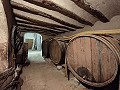 Groot historisch huis en bodega in Pinoso in Alicante Dream Homes Castalla 