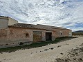 Groot historisch huis en bodega in Pinoso in Alicante Dream Homes Castalla 