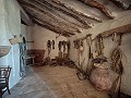 Grande maison historique et bodega à Pinoso in Alicante Dream Homes Castalla 