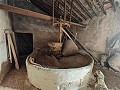 Grande maison historique et bodega à Pinoso in Alicante Dream Homes Castalla 