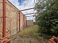 Großes historisches Haus und Bodega in Pinoso in Alicante Dream Homes Castalla 