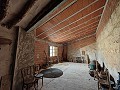 Groot historisch huis en bodega in Pinoso in Alicante Dream Homes Castalla 