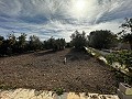 Belle maison de campagne de 7 chambres et 3 salles de bain avec piscine privée à Sax in Alicante Dream Homes Castalla 