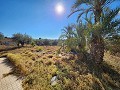 Mooie villa met 4 slaapkamers en 3 badkamers en garage in Alicante Dream Homes Castalla 