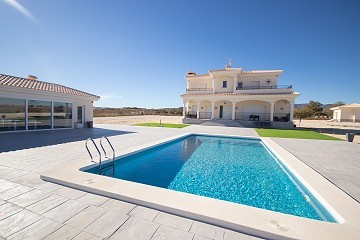 Chalets de obra nueva en Pinoso