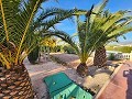 Wunderschöne Villa mit 3 Schlafzimmern und 2 Bädern und massivem Unterbau in Alicante Dream Homes Castalla 