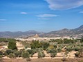 Belle villa de 3 chambres et 2 salles de bain avec sous-construction massive in Alicante Dream Homes Castalla 