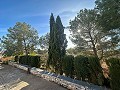 2-Schlafzimmer-Landhaus mit sehr großem Grundstück in Alicante Dream Homes Castalla 