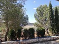 2 Bed Countryhouse with a very large Plot in Alicante Dream Homes Castalla 