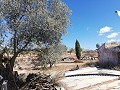 Maison de campagne de 2 chambres avec un très grand terrain in Alicante Dream Homes Castalla 