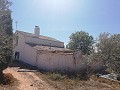 Maison de campagne de 2 chambres avec un très grand terrain in Alicante Dream Homes Castalla 