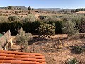 Gehen Sie zur Stadtvilla mit Pool und Gästehaus in Alicante Dream Homes Castalla 