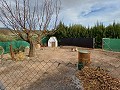 Gehen Sie zur Stadtvilla mit Pool und Gästehaus in Alicante Dream Homes Castalla 