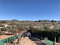 Gehen Sie zur Stadtvilla mit Pool und Gästehaus in Alicante Dream Homes Castalla 