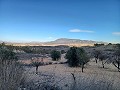 Casa de campo con impresionantes vistas. in Alicante Dream Homes Castalla 