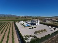 Prachtige villa met zwembad en gastenverblijf in Pinoso in Alicante Dream Homes Castalla 