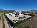 Atemberaubende Villa mit Swimmingpool und Gästehaus in Pinoso in Alicante Dream Homes Castalla 