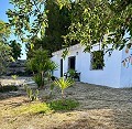 Schönes Landhaus mit großem Padelplatz in Alicante Dream Homes Castalla 