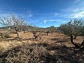 Geen Bouwgrond in Rodriguillo, Pinoso in Alicante Dream Homes Castalla 