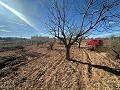 Geen Bouwgrond in Rodriguillo, Pinoso in Alicante Dream Homes Castalla 