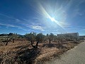 Geen Bouwgrond in Rodriguillo, Pinoso in Alicante Dream Homes Castalla 