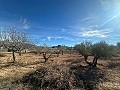 Geen Bouwgrond in Rodriguillo, Pinoso in Alicante Dream Homes Castalla 