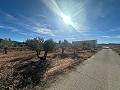 Geen Bouwgrond in Rodriguillo, Pinoso in Alicante Dream Homes Castalla 