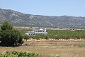 New build villa's with wow! factor in Alicante Dream Homes Castalla 