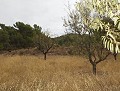 Villa met 4 slaapkamers en 2 badkamers en zwembad in Alicante Dream Homes Castalla 