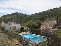 Villa de 4 chambres et 2 salles de bain avec piscine in Alicante Dream Homes Castalla 