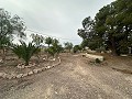 2 maisons de campagne à Novelda in Alicante Dream Homes Castalla 