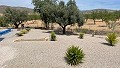 Villa presque neuve de 3/4 chambres avec piscine, garage double et rangement in Alicante Dream Homes Castalla 