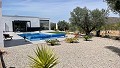 Villa presque neuve de 3/4 chambres avec piscine, garage double et rangement in Alicante Dream Homes Castalla 