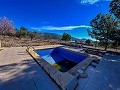 Schönes Landhaus mit Pool in Monóvar in Alicante Dream Homes Castalla 