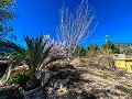 Beautiful country house with pool in Monóvar in Alicante Dream Homes Castalla 