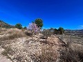 Beautiful country house with pool in Monóvar in Alicante Dream Homes Castalla 