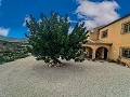 Wunderschöne Villa/Höhlenhaus mit 4 Schlafzimmern in Fortuna in Alicante Dream Homes Castalla 