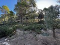 Landhuis met 2 slaapkamers en 2 badkamers in Alicante Dream Homes Castalla 