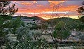 2 Bedroom 2 Bathroom Country Home in Alicante Dream Homes Castalla 