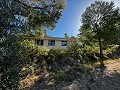 Landhuis met 2 slaapkamers en 2 badkamers in Alicante Dream Homes Castalla 