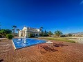 Luxury tradicional villa in Novelda  in Alicante Dream Homes Castalla 