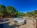 Impresionante Casa Rural de 9 habitaciones en Biar in Alicante Dream Homes Castalla 