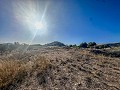 Enorme casa en el campo con parcelas en Pinoso in Alicante Dream Homes Castalla 