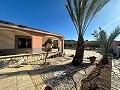 Schönes Landhaus mit Pool in Agost in Alicante Dream Homes Castalla 