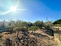 Schönes Landhaus mit Pool in Agost in Alicante Dream Homes Castalla 