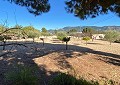 Villa de 3 chambres et 1 salle de bain très bien située avec piscine et maison d'hôtes de 2 étages à Sax in Alicante Dream Homes Castalla 