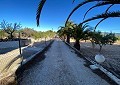 Villa de 3 chambres et 1 salle de bain très bien située avec piscine et maison d'hôtes de 2 étages à Sax in Alicante Dream Homes Castalla 