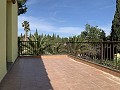 Villa mit 3 Schlafzimmern und 2 Bädern. Gehen Sie in die Stadt Novelda in Alicante Dream Homes Castalla 