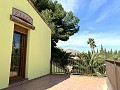 Villa mit 3 Schlafzimmern und 2 Bädern. Gehen Sie in die Stadt Novelda in Alicante Dream Homes Castalla 