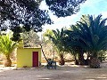 Villa mit 3 Schlafzimmern und 2 Bädern. Gehen Sie in die Stadt Novelda in Alicante Dream Homes Castalla 